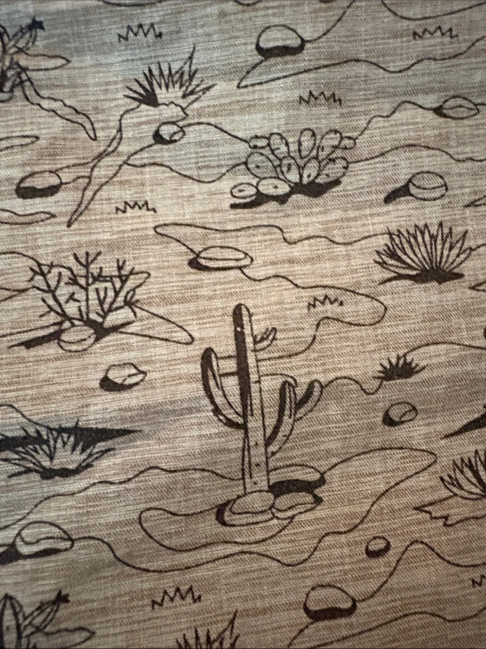 Men’s Molokai Surf Button up Cactus 🌵 Shirt Western Large